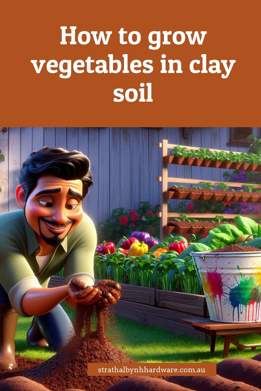 How to grow vegetables in clay soil