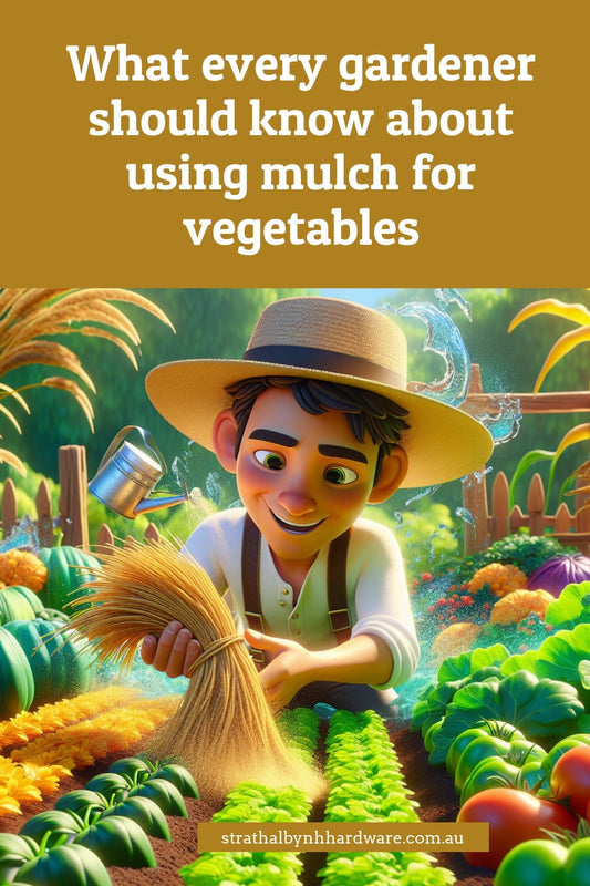 What every gardener should know about using mulch for vegetables
