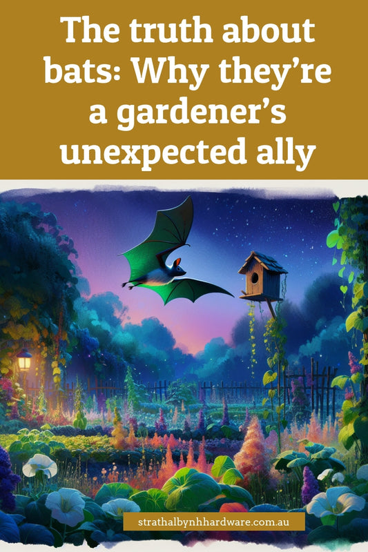 The truth about bats: Why they’re a gardener’s unexpected ally