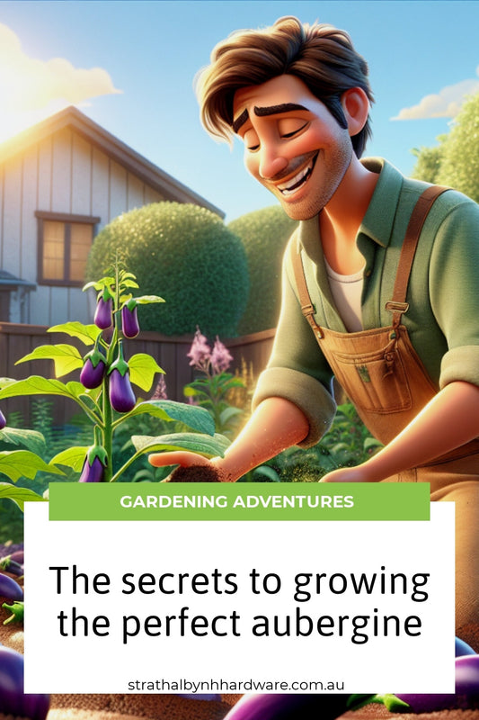 The secrets to growing the perfect aubergine