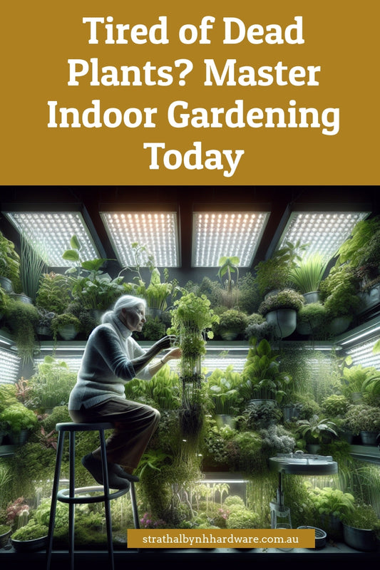 Tired of Dead Plants? Master Indoor Gardening Today