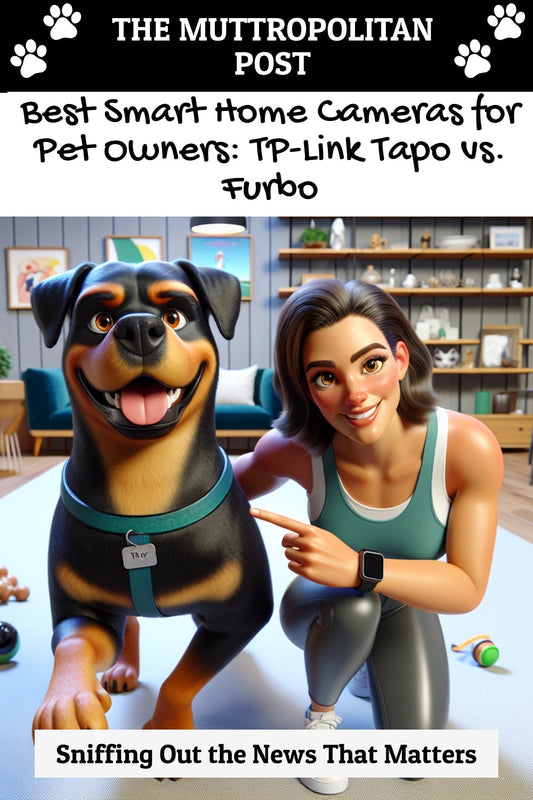 Best Smart Home Cameras for Pet Owners: TP-Link Tapo vs. Furbo