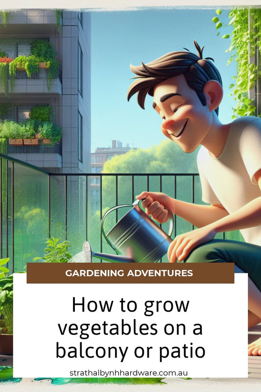 How to grow vegetables on a balcony or patio