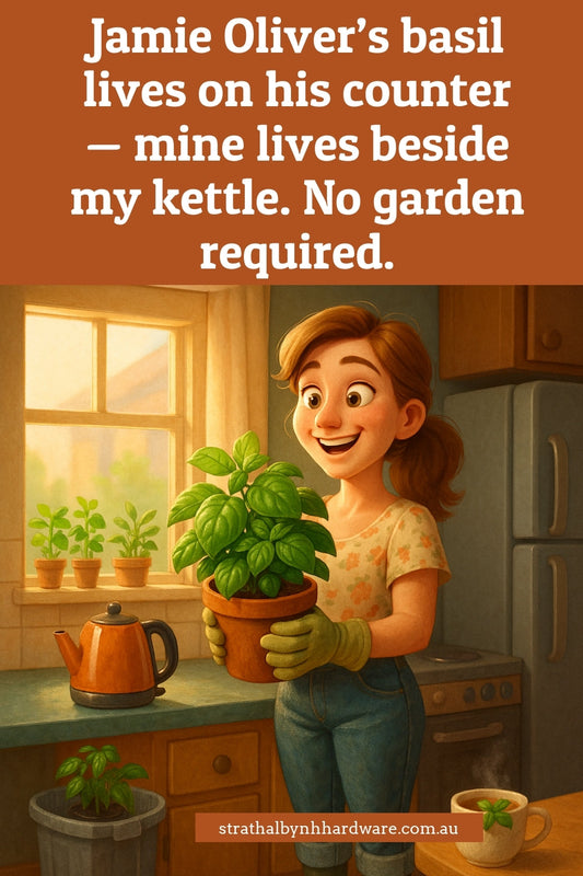 Think basil’s an outdoor-only herb? Mine’s thriving next to the kettle — here’s how.