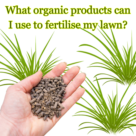 What organic products can I use to fertilise my lawn?