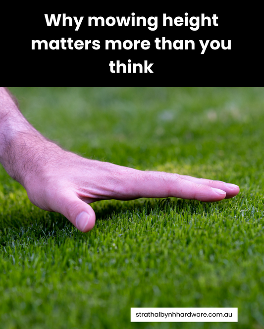 Why mowing height matters more than you think