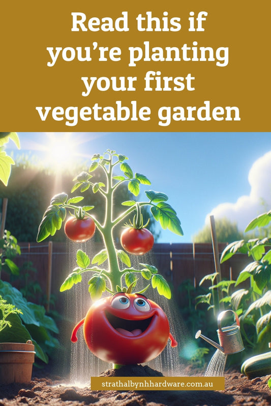 Read this if you’re planting your first vegetable garden