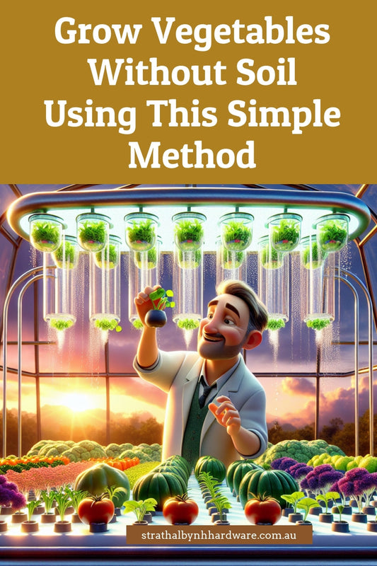 Grow Vegetables Without Soil Using This Simple Method