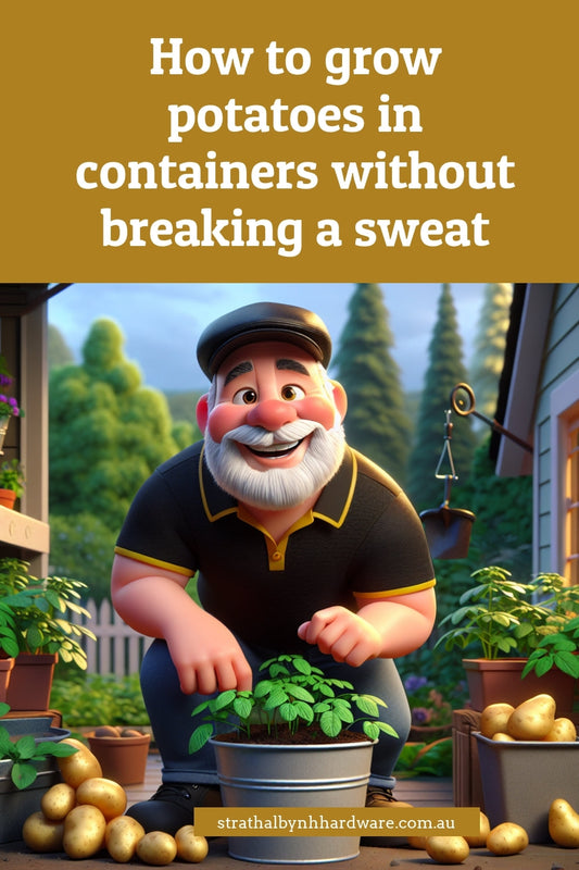 How to grow potatoes in containers without breaking a sweat