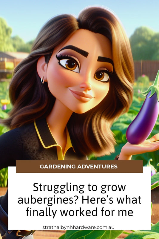 Struggling to grow aubergines? Here’s what finally worked for me
