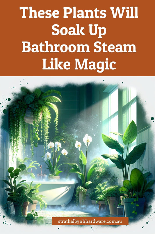 These Plants Will Soak Up Bathroom Steam Like Magic