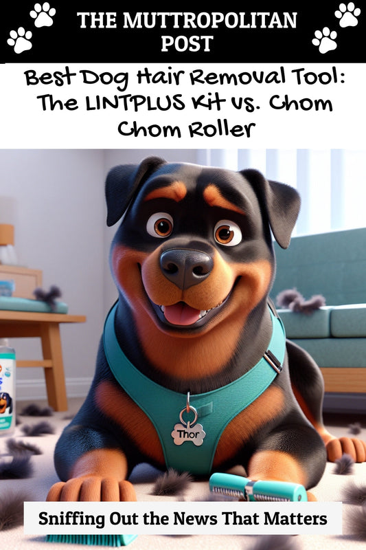 Best Dog Hair Removal Tool: The LINTPLUS Kit vs. Chom Chom Roller