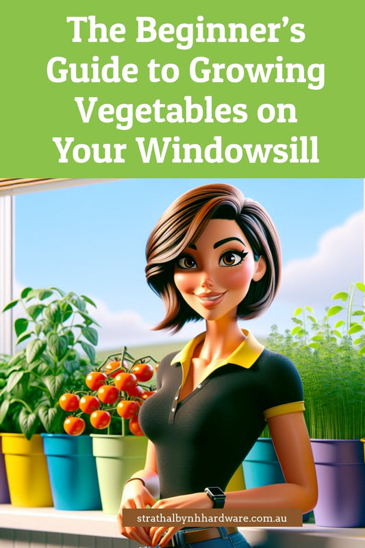The Beginner’s Guide to Growing Vegetables on Your Windowsill