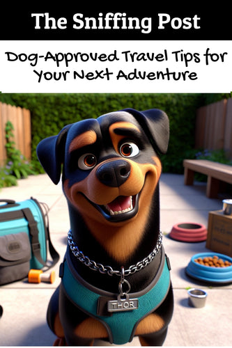 Dog-Approved Travel Tips for Your Next Adventure