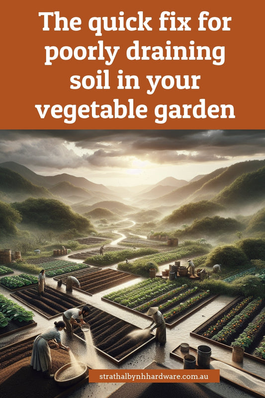 The quick fix for poorly draining soil in your vegetable garden