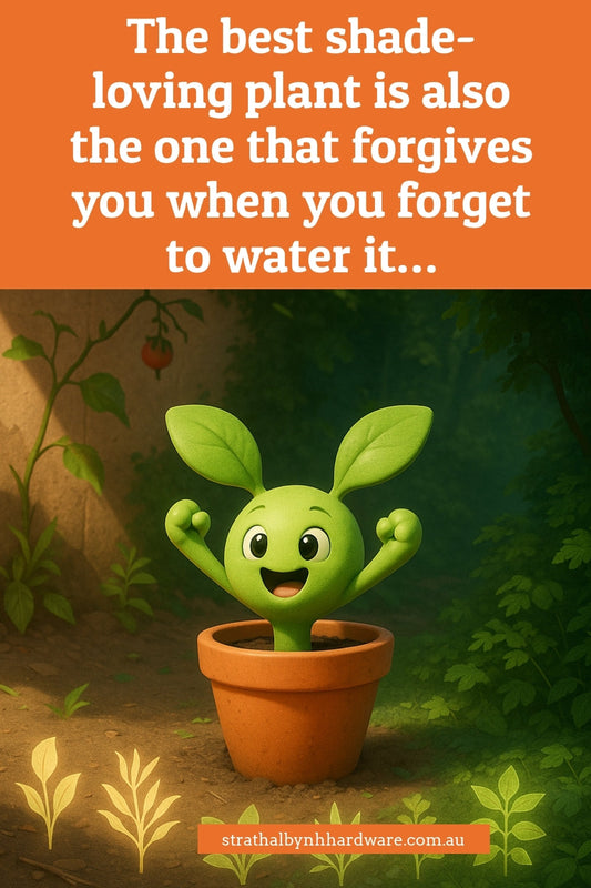 No sun, no problem — these 5 plants thrive where others tap out.