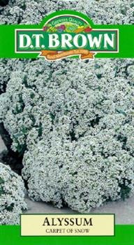 Alyssum Carpet of Snow Seeds