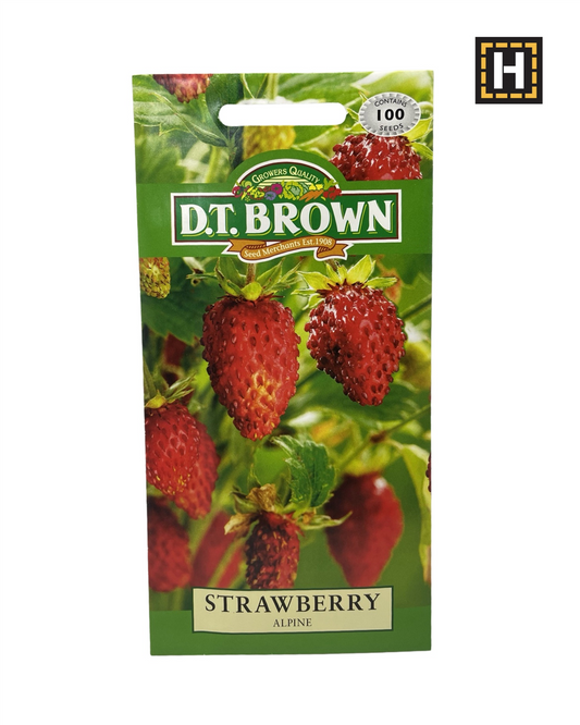 D.T. Brown Seeds - Strawberry Alpinet - 100 Seed Pack