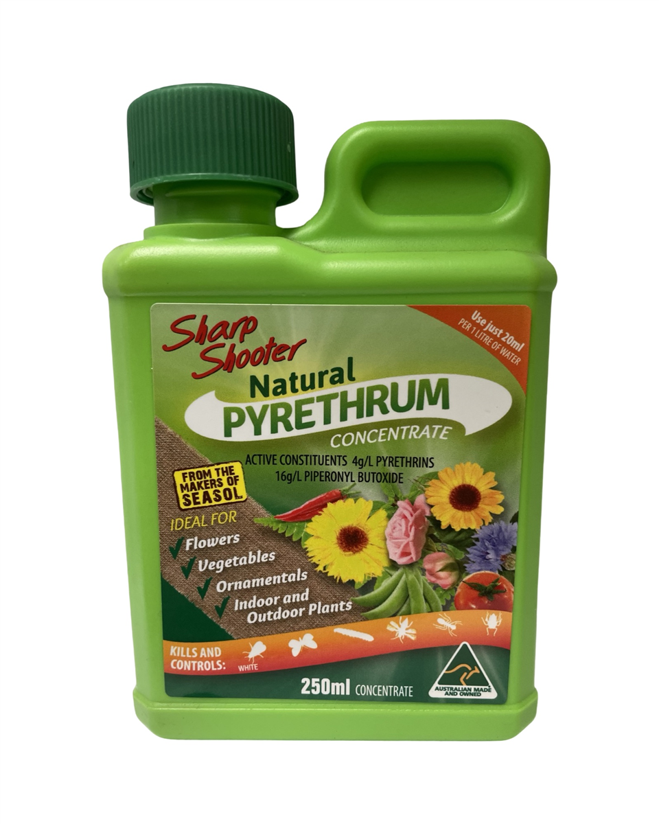 Sharp Shooter Natural Pyrethrum insect spray 250ml