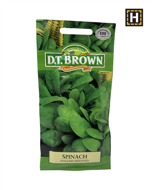 D.T. Brown Seeds - Spinach English Medaniat - 500 Seed Pack