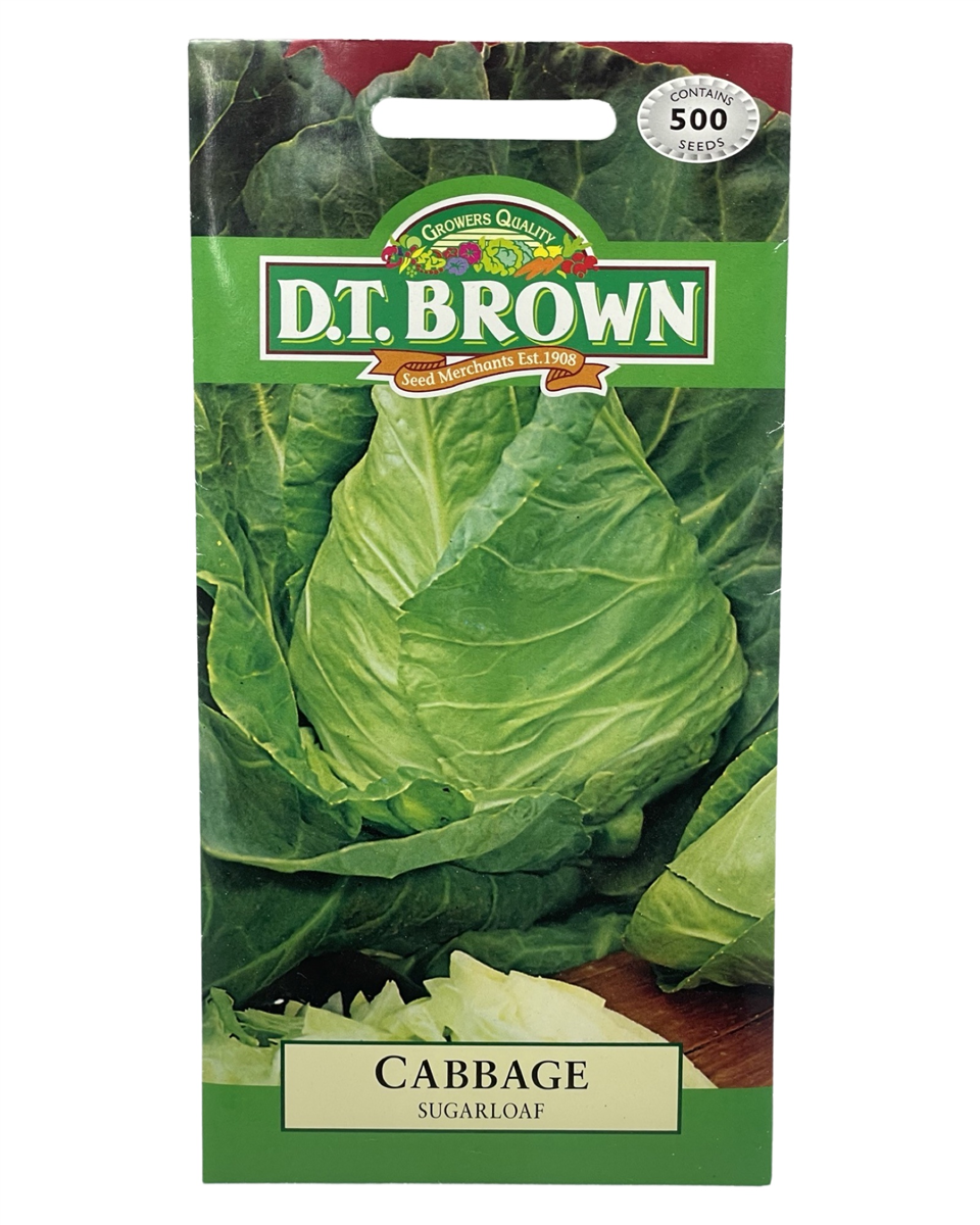 D.T Brown - Cabbage Sugarloaf - 500 Seed Pack