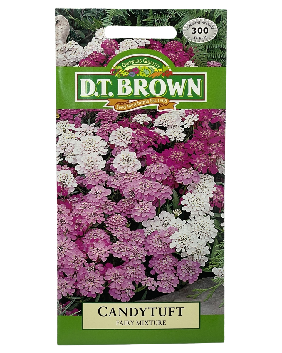 D.T Brown - Candytuft - 300 seed pack