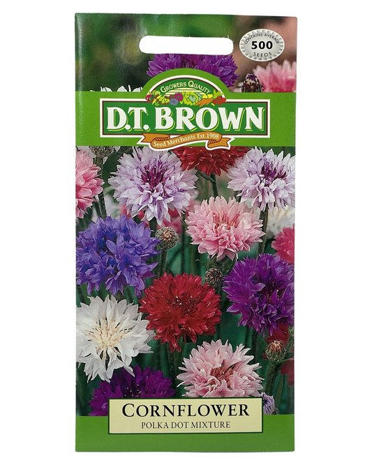 D.T Brown - Cornflower - 500 seed pack
