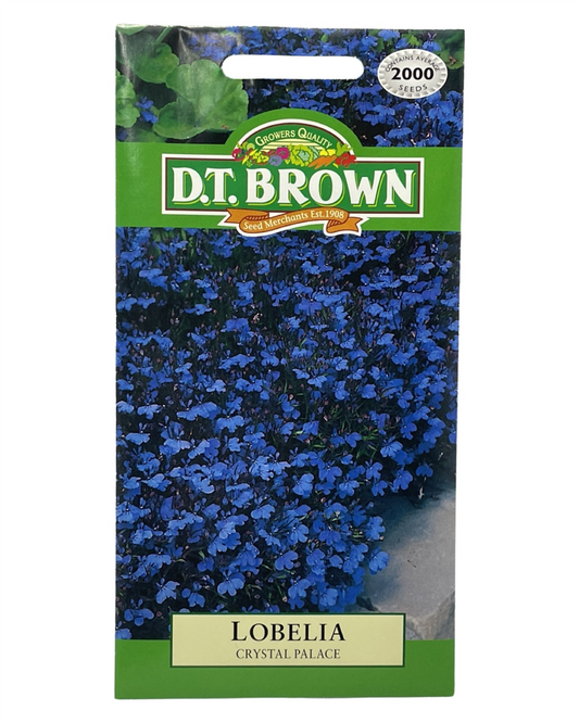 D.T Brown - Lobelia - 2000 seed pack