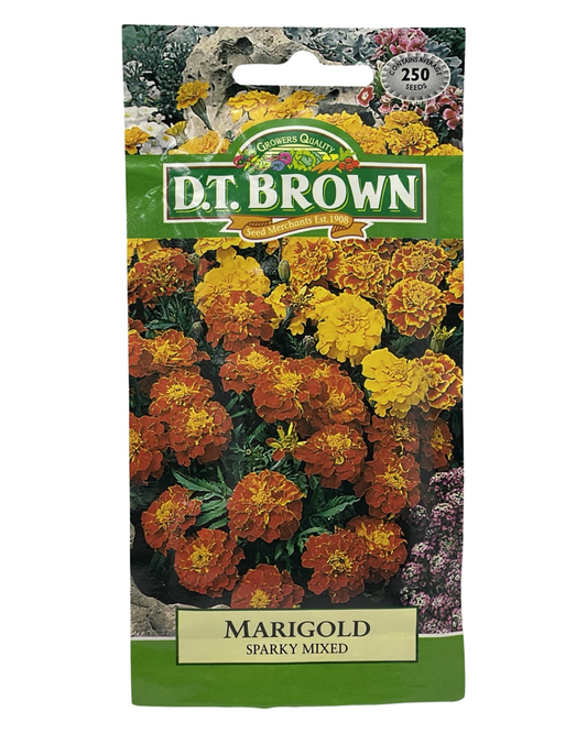 D.T Brown - Marigold Sparky Mixed - 250 seed pack