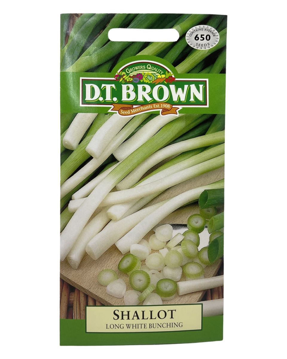 D.T Brown Seeds- Shallot (Long White Bunching) 650 Seed Pack