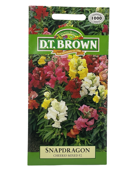 D.T Brown - Snapdragon - 500 seed pack