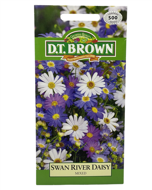 D.T Brown - Swan River Daisy - 500 seed pack