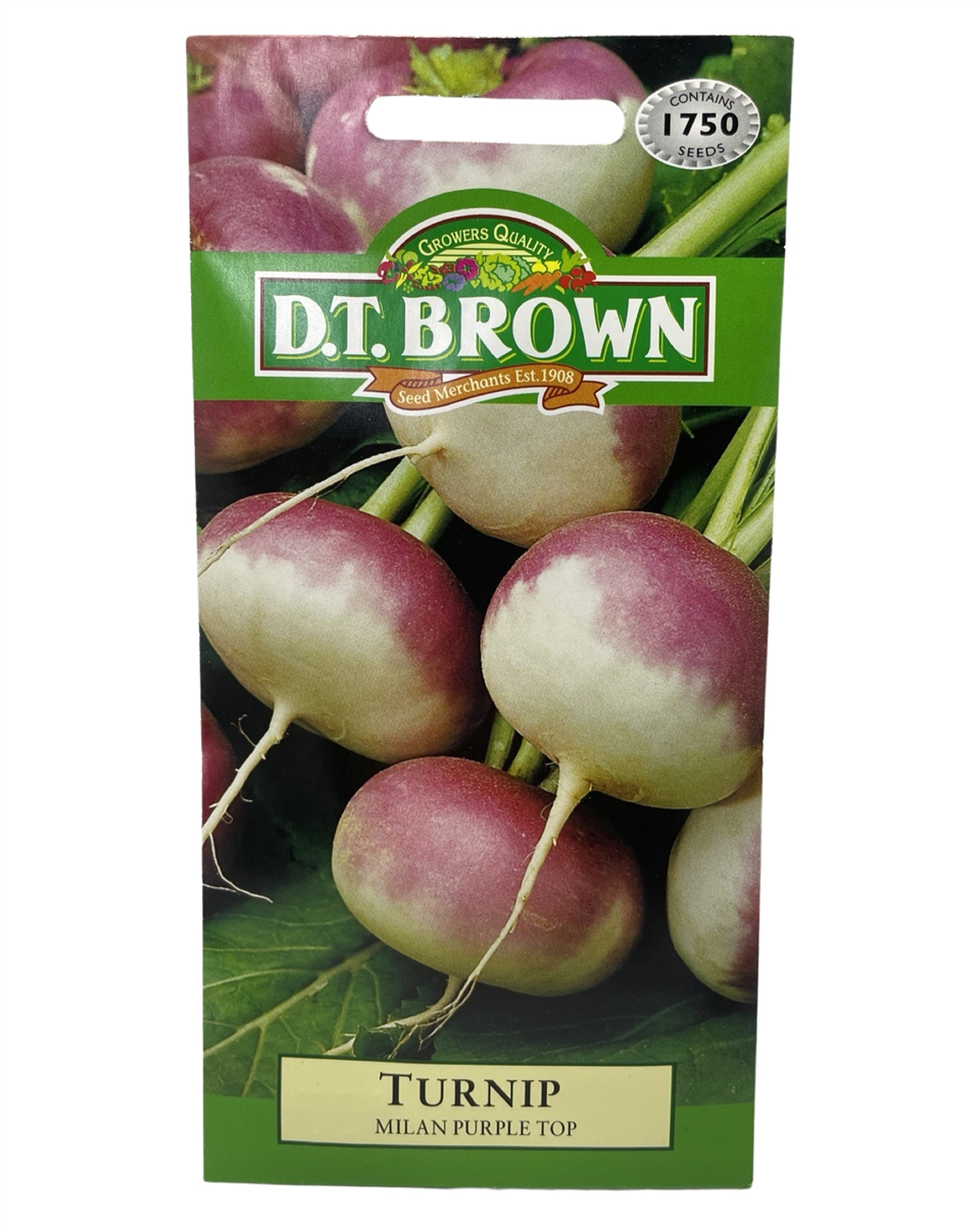 D.T Brown - Turnip Milan Purple Top - 1750 Seed Pack