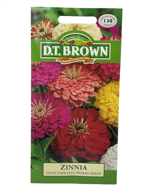 D.T Brown - Zinnia - 130 seed pack