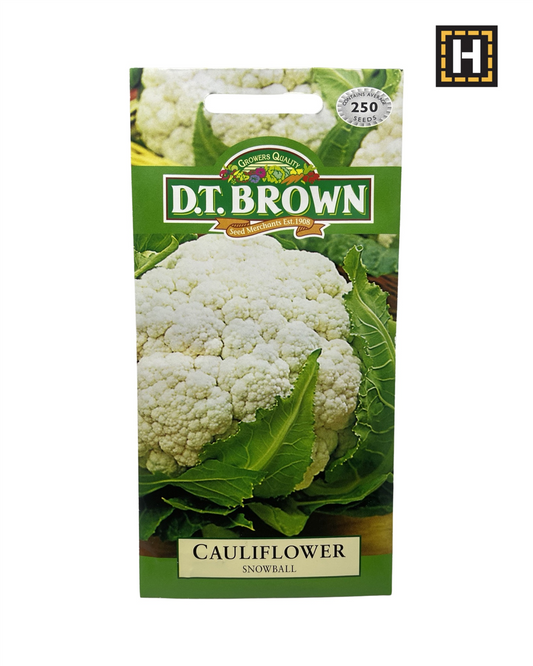 D.T. Brown Seeds - Cauliflower Snowball - 250 Seed Pack
