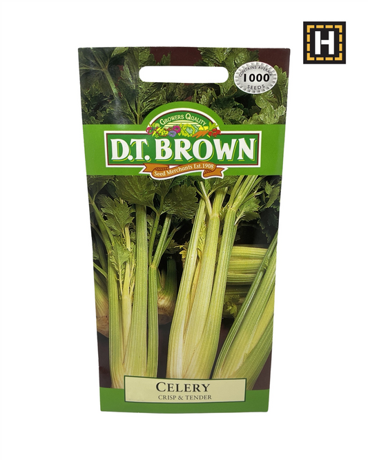 D.T. Brown Seeds - Celery Crisp & Tender - 1000 Seed Pack
