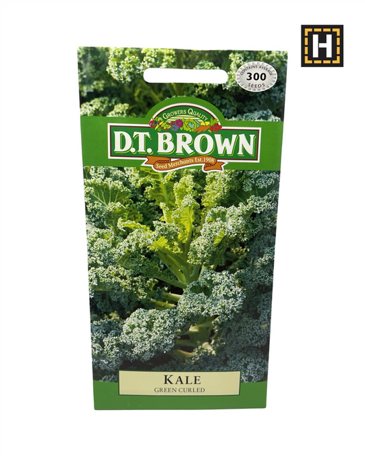 D.T. Brown Seeds - Kale Green Curled - 300 Seed Pack