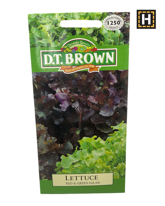 D.T. Brown Seeds - Red & Green Salad Lettuce - 1250 Seed Pack
