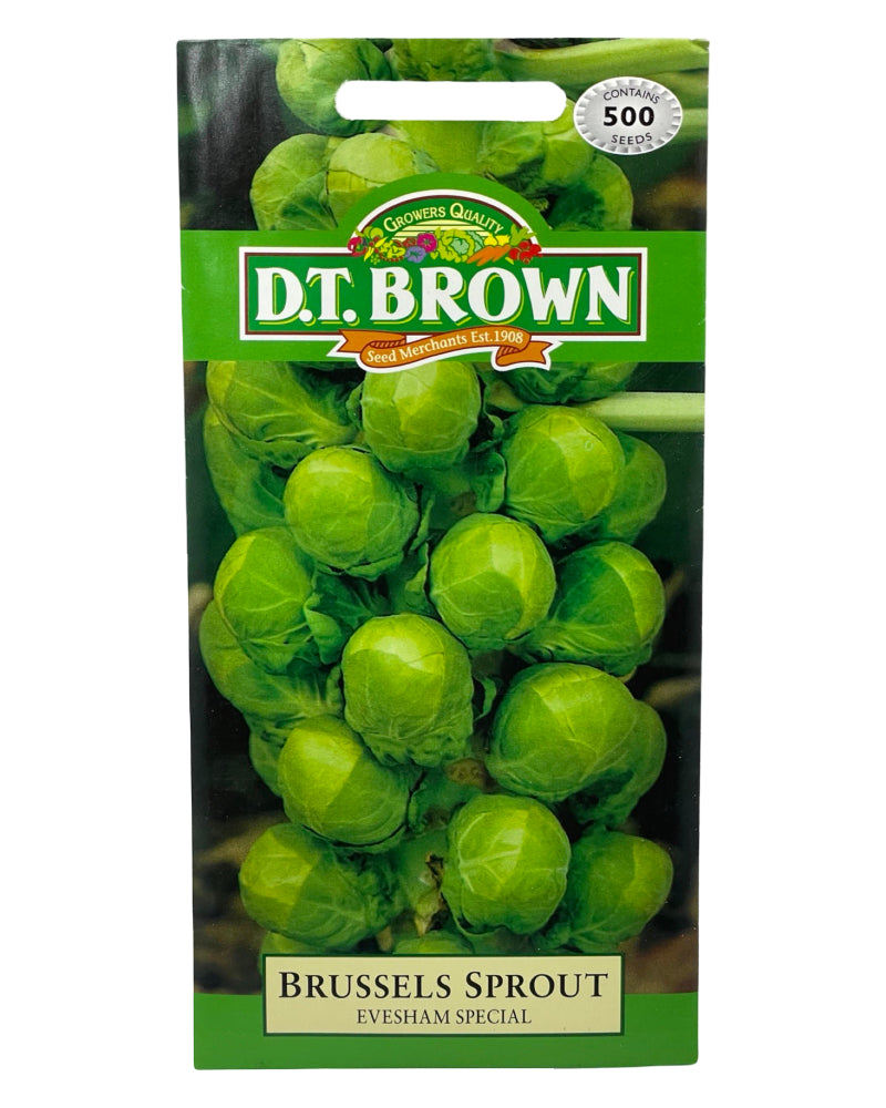 D.T Brown Brussels Sprout Evesham Seeds 500 Pack