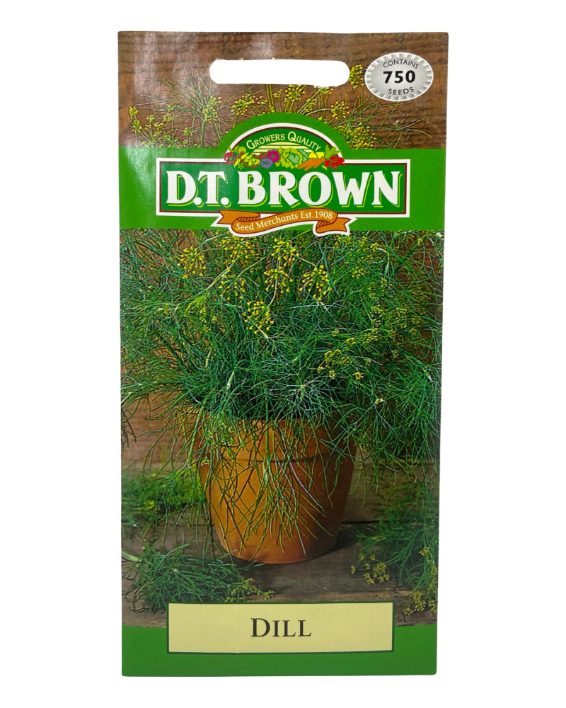 D.T Brown Dill Seeds 750 Pack