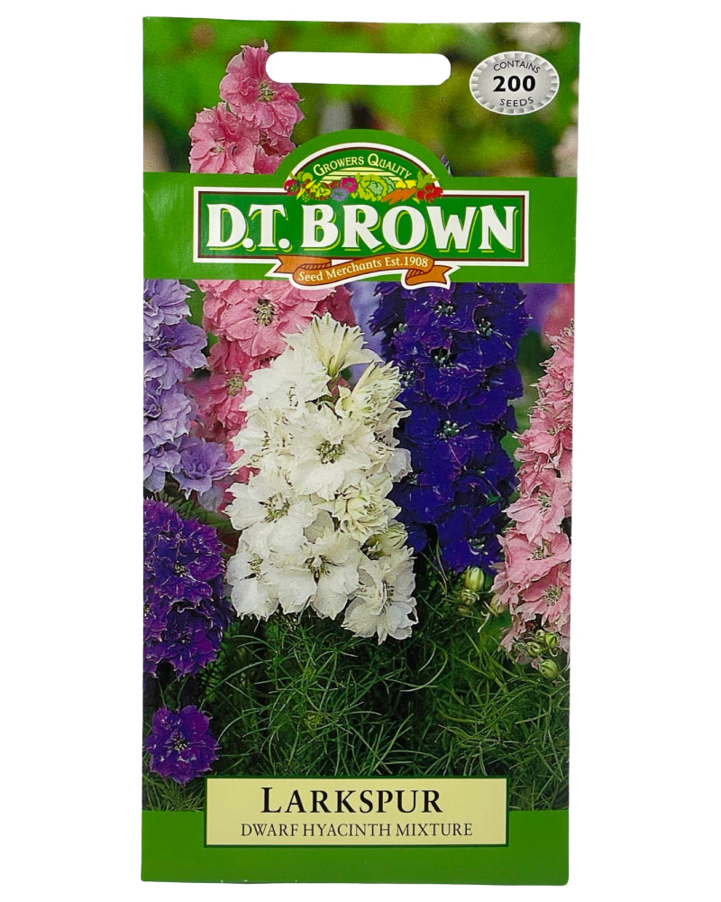 D.T Brown Larkspur Dwarf Hyacinth Mixture Seeds 200 Pack