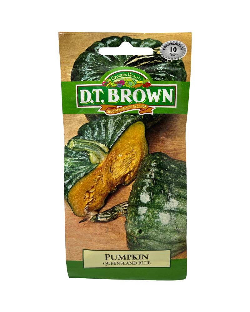 D.T Brown Pumpkin Queensland Blue Seeds 10 Pack