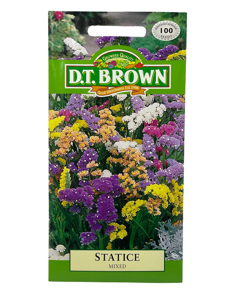 D.T Brown Statice Mixed Seeds 100 Pack