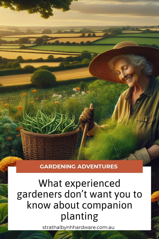 What experienced gardeners don’t want you to know about companion planting