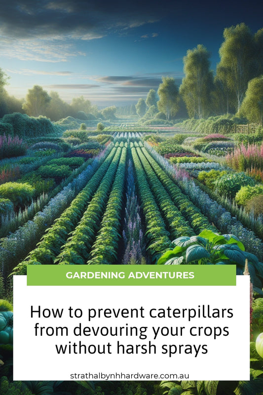 How to prevent caterpillars from devouring your crops without harsh sprays