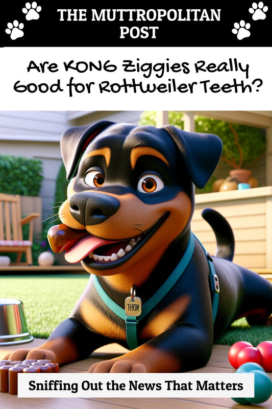 Are KONG Ziggies Really Good for Rottweiler Teeth?