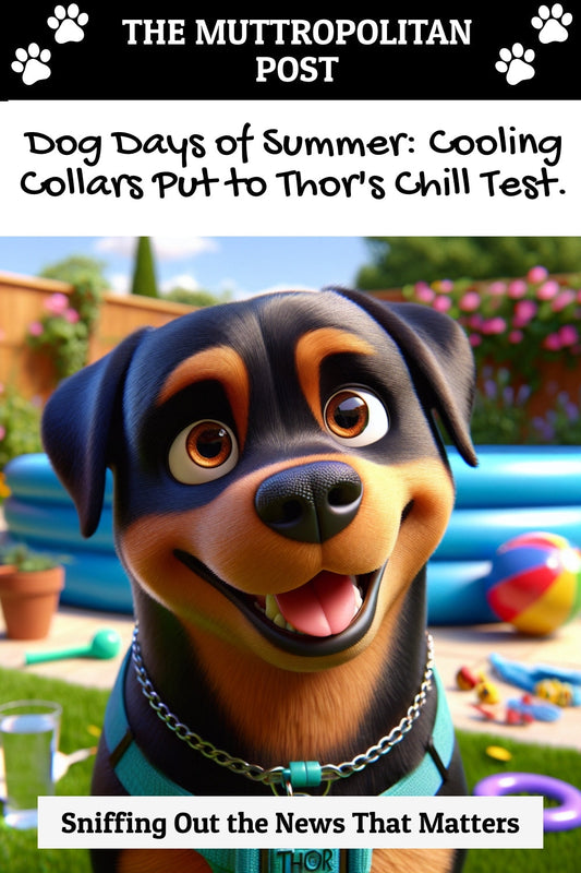 Dog Days of Summer: Cooling Collars Put to Thor's Chill Test.