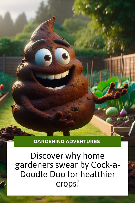 Discover why home gardeners swear by Cock-a-Doodle Doo for healthier crops!