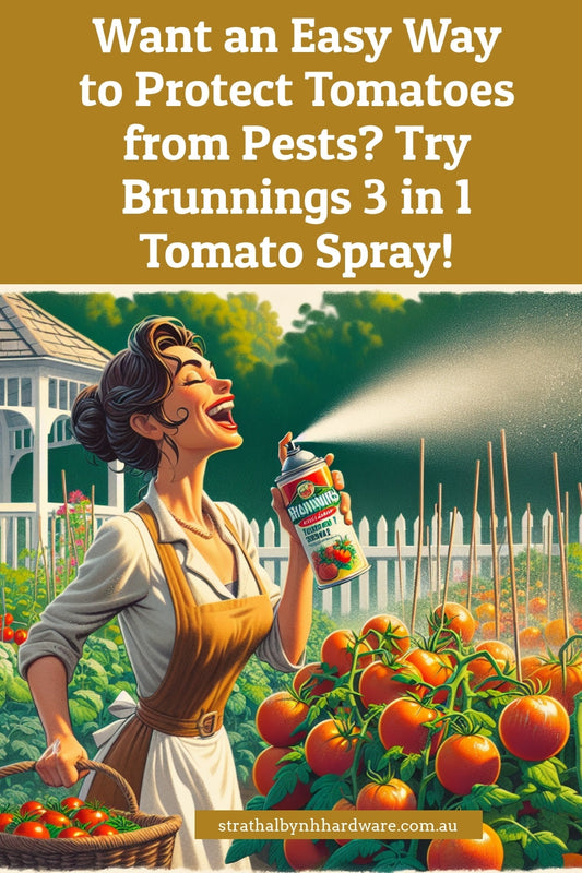 Want an Easy Way to Protect Tomatoes from Pests? Try Brunnings 3 in 1 Tomato Spray!