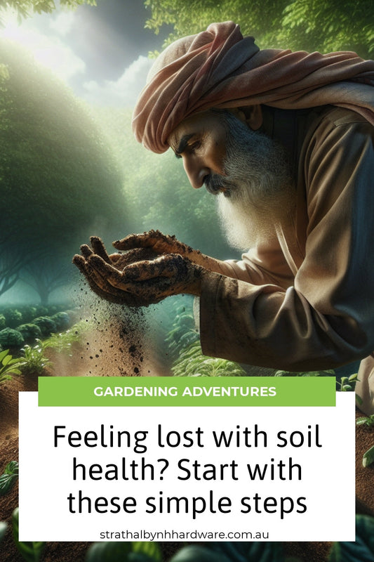 Feeling lost with soil health? Start with these simple steps